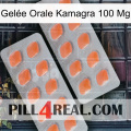 Gelée Orale Kamagra 100 Mg 27